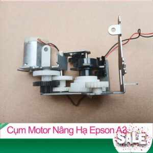 Cụm Motor Cảm Biến Hong Trái Epson L1300 / L1800 / 1390 / 1430