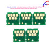 chip muc thai c9344