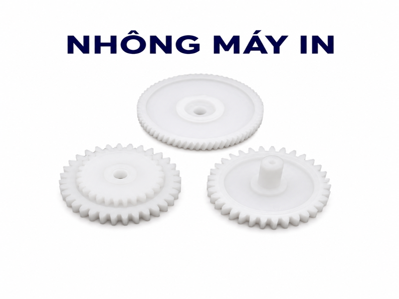 nhông may in